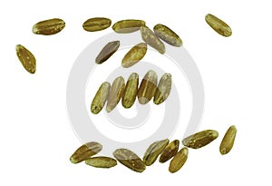 background motice with structure and colors